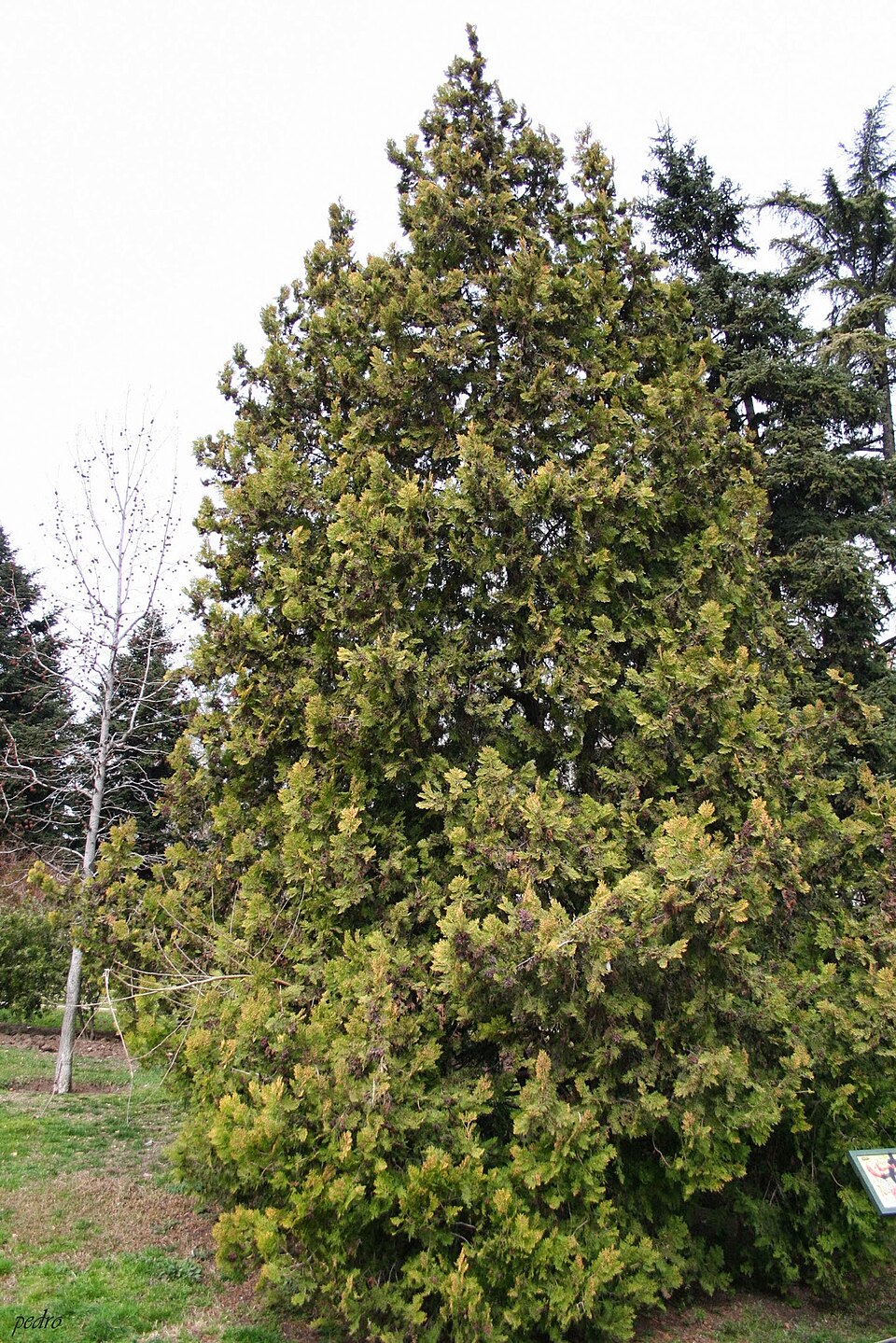 A photograph of Berlin Park