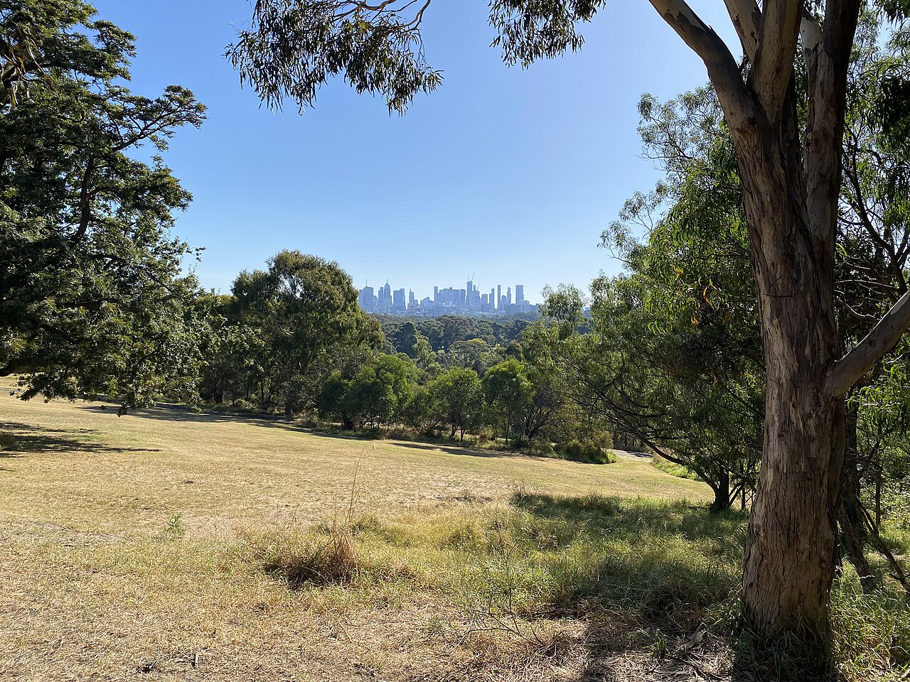صورة Yarra Bend Park