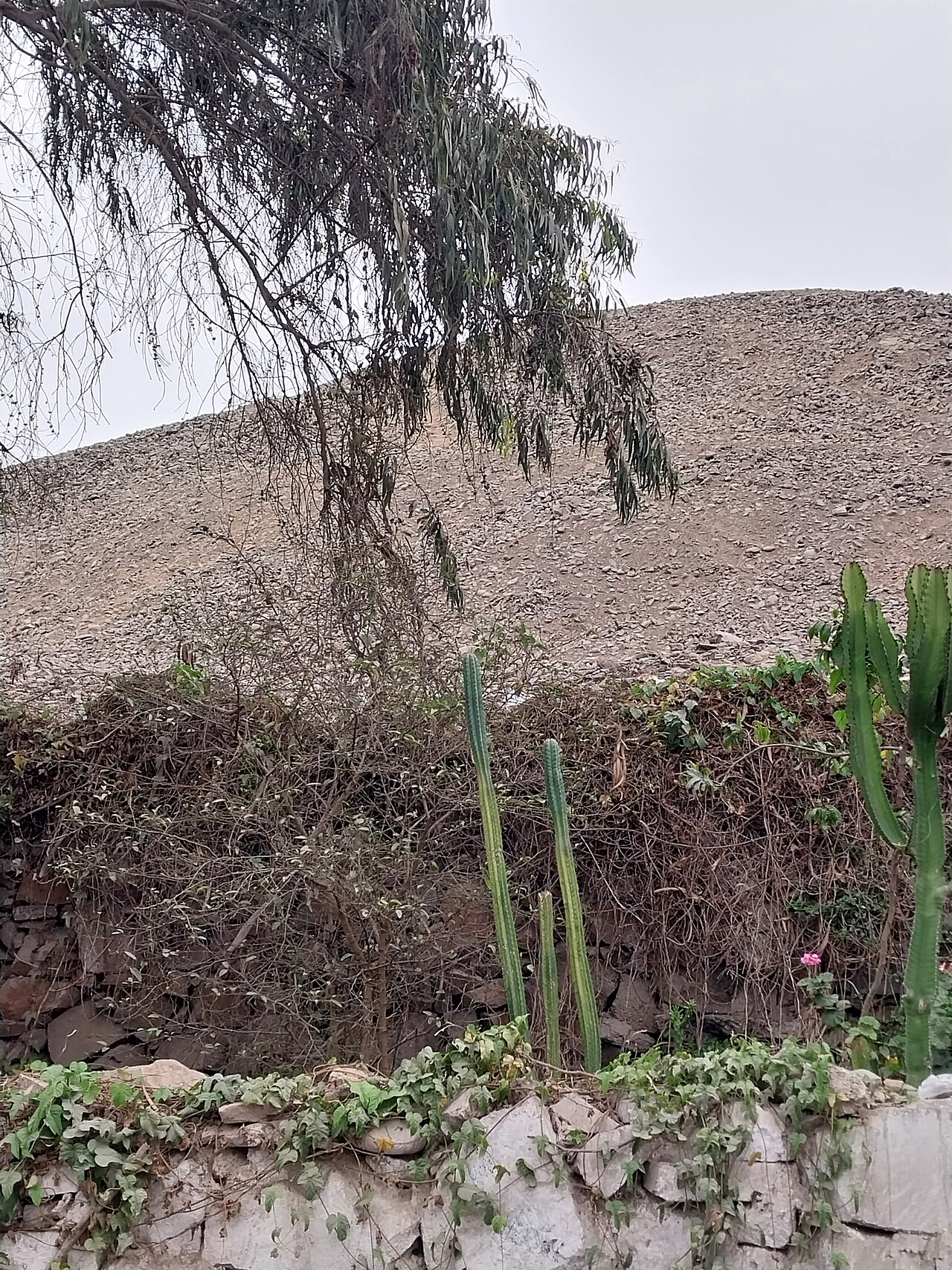 Huaca Florida fotoğrafı