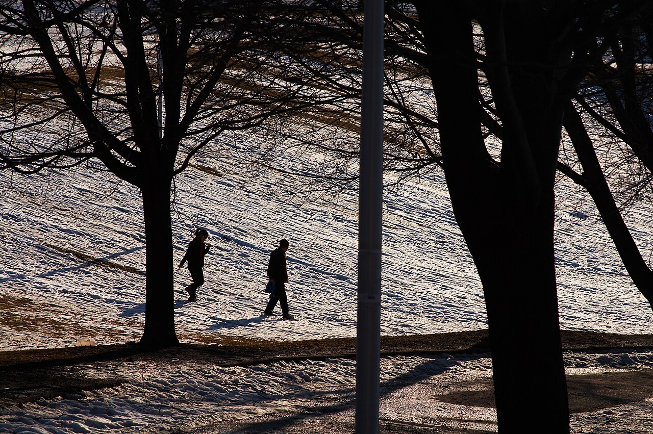 Una fotografia di Christie Pits Park