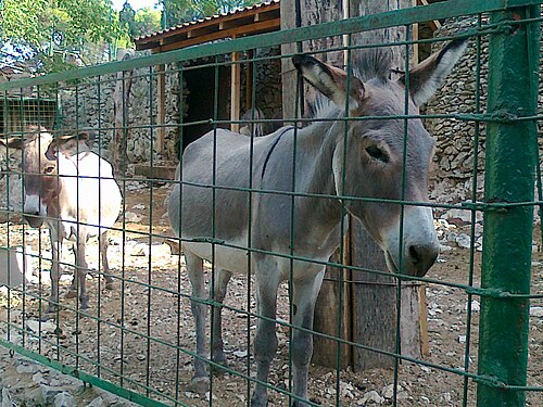 Prirodoslovni muzej i zoološki vrt Split