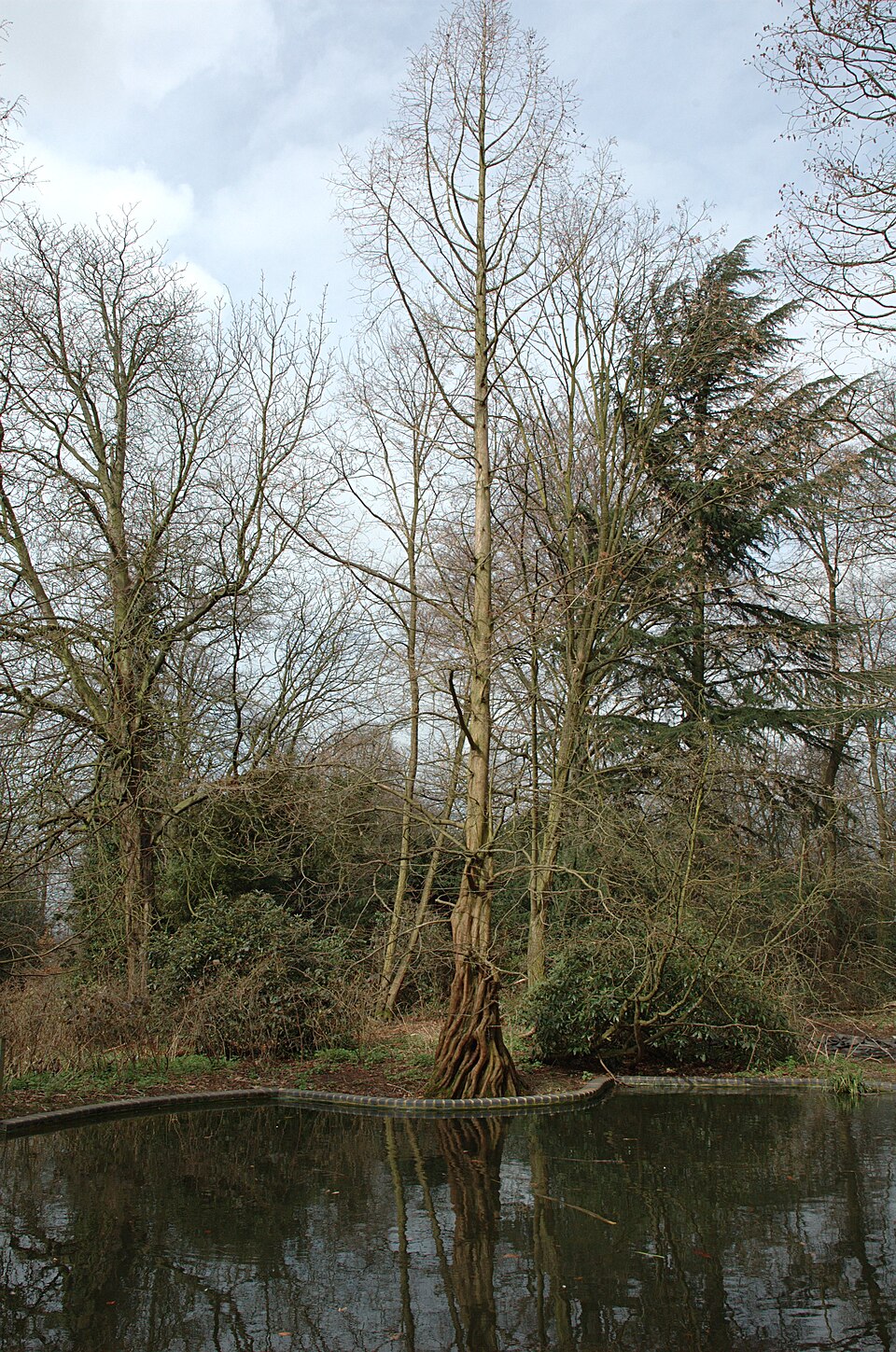 A photograph of Holland Park