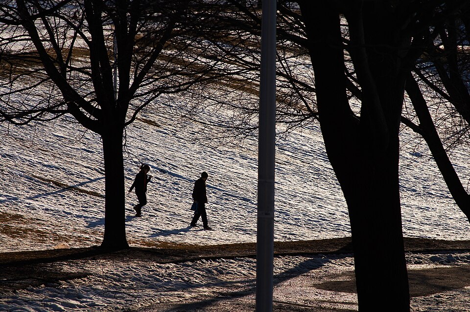 A photograph of Christie Pits