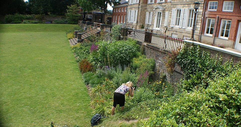A photograph of York House Gardens