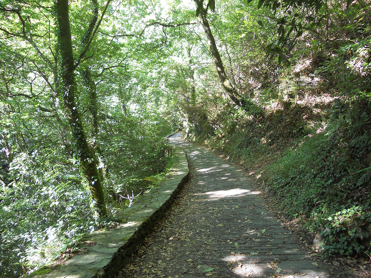Capela fotoğrafı