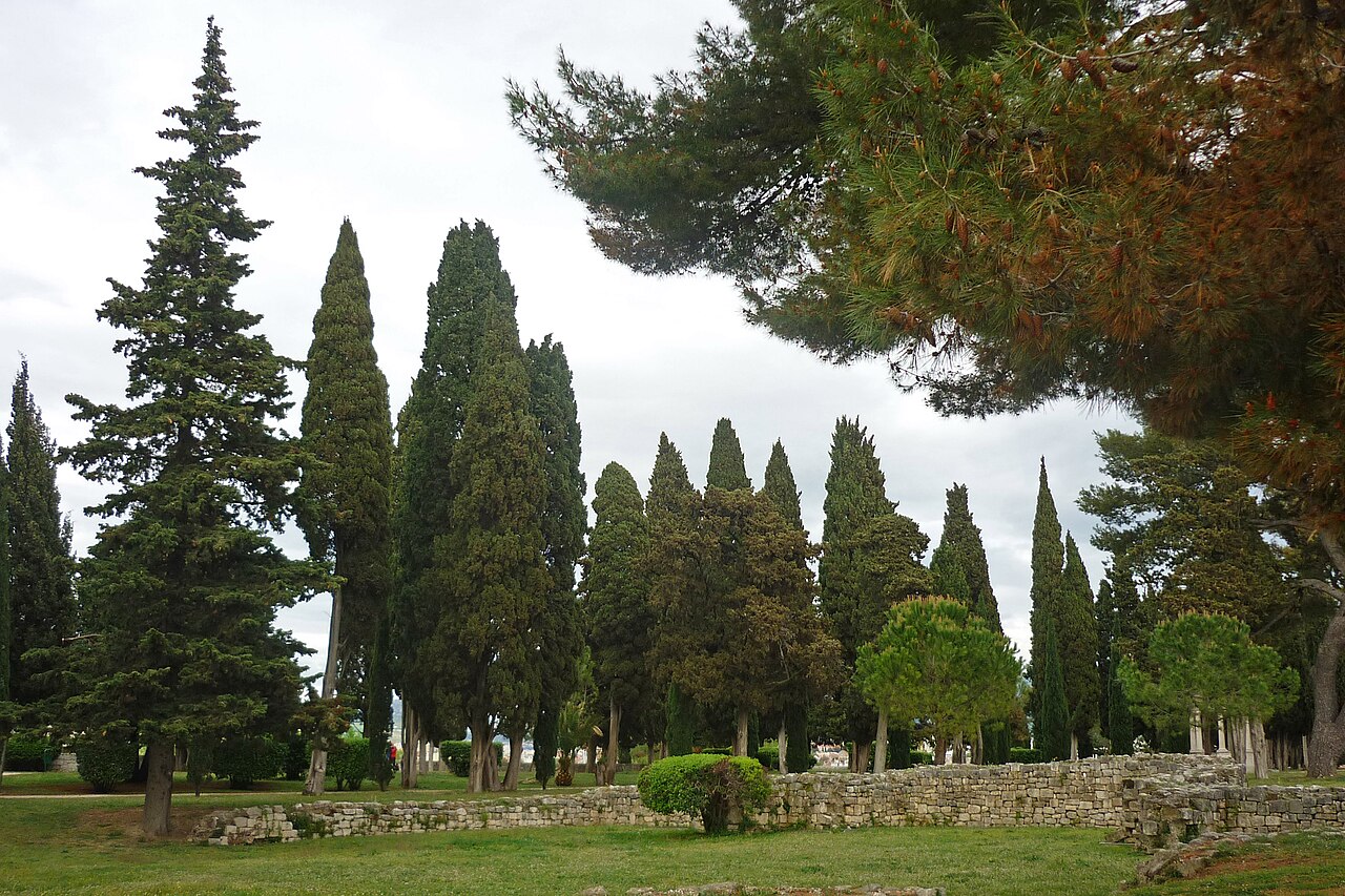 A photograph of Sustipan