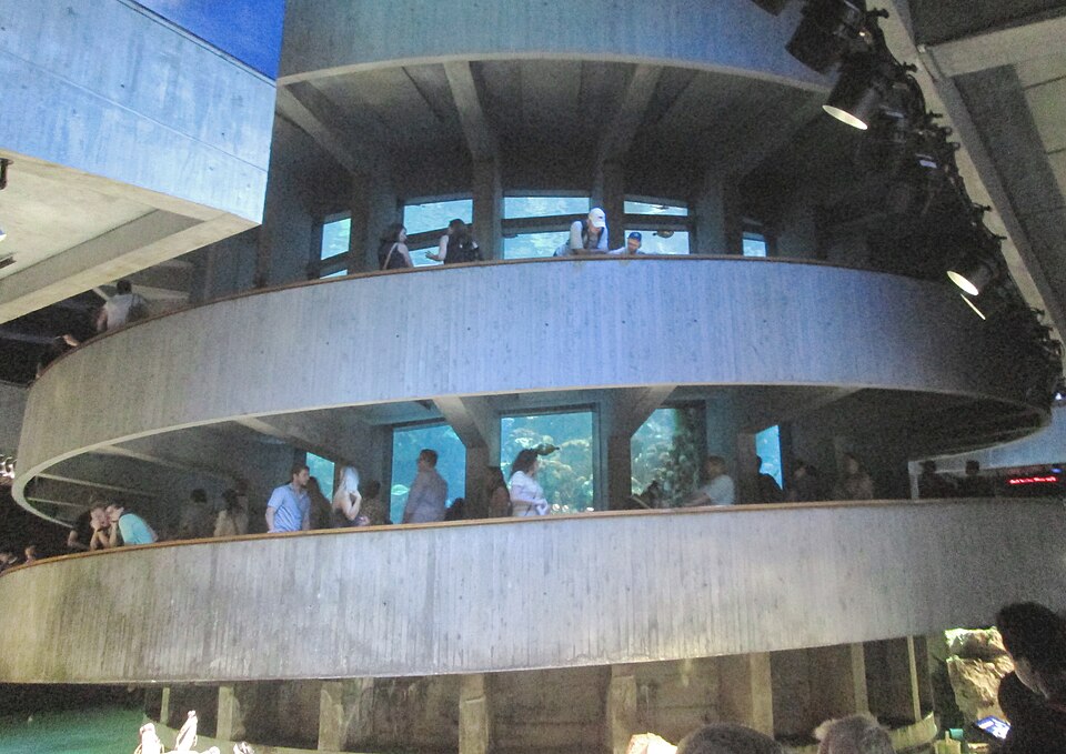 A photograph of New England Aquarium