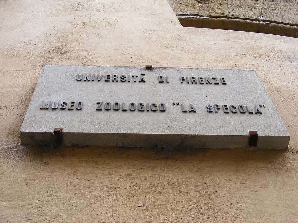 A photograph of Università di Firenze Museo Zoologico "La Specola"
