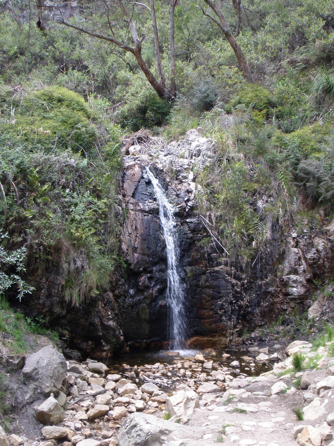 Waterfall Gully