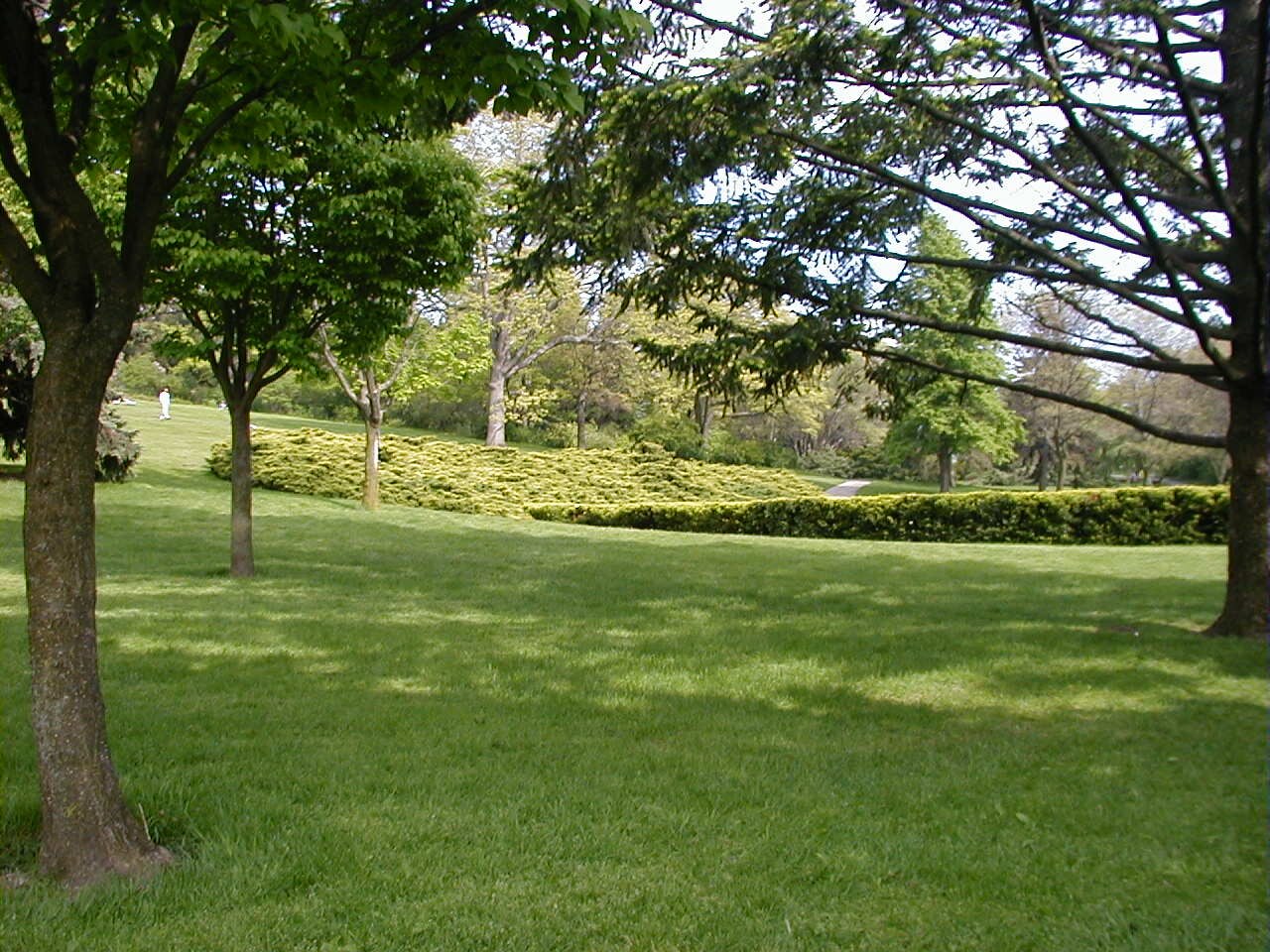 High Park fotoğrafı