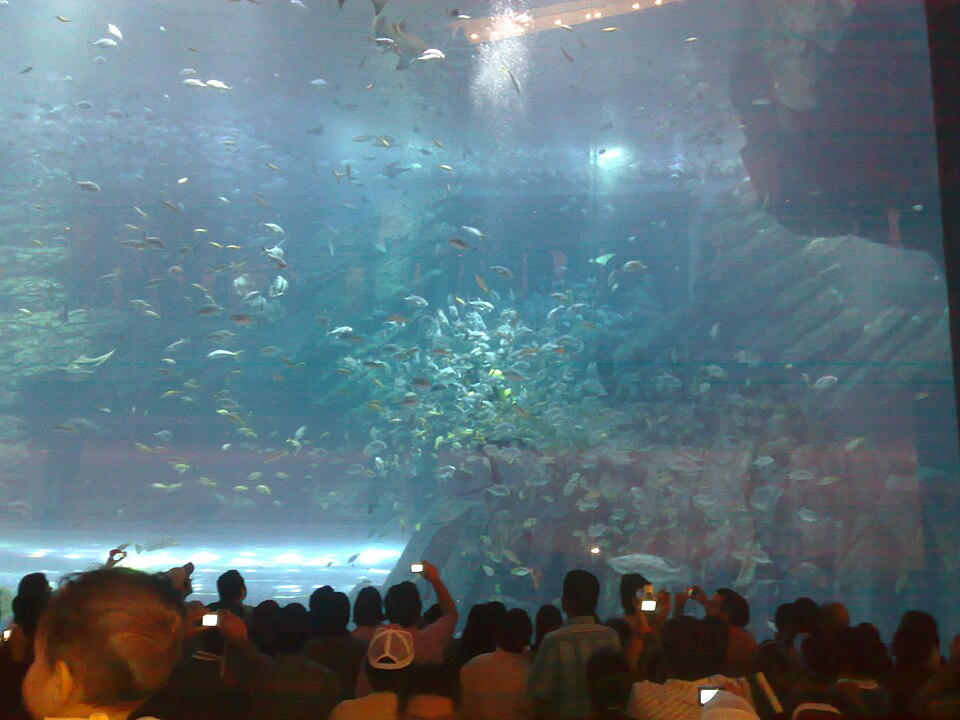 A photograph of Dubai Aquarium and Underwater Zoo