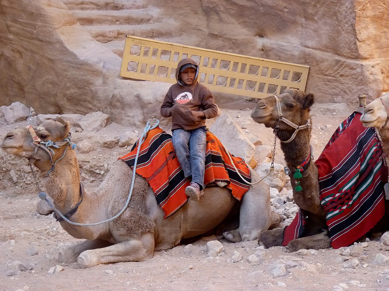 صورة Petra view