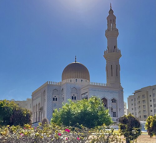جامع الزواوي