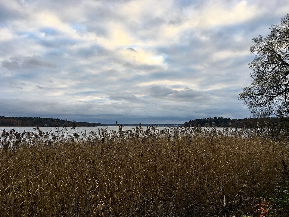 A photograph of Mälaren