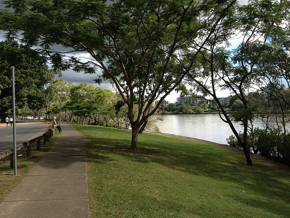 A photograph of Davies Park