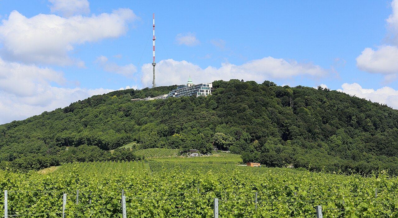 Una fotografia di Kahlenberg