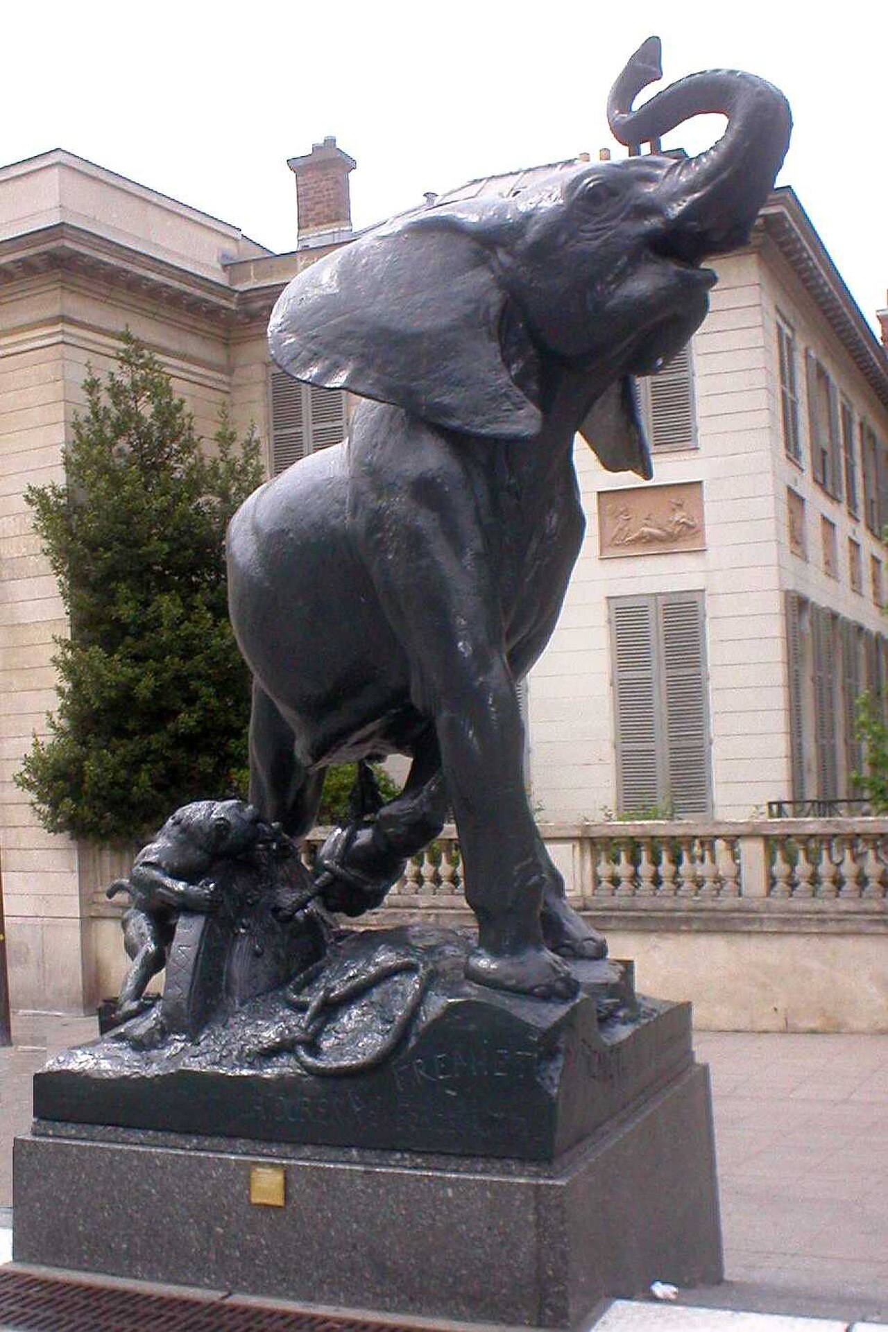 Jeune éléphant pris au piège
