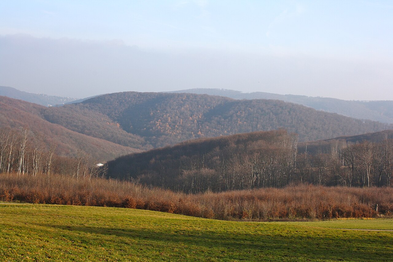 Steinerne Lahn