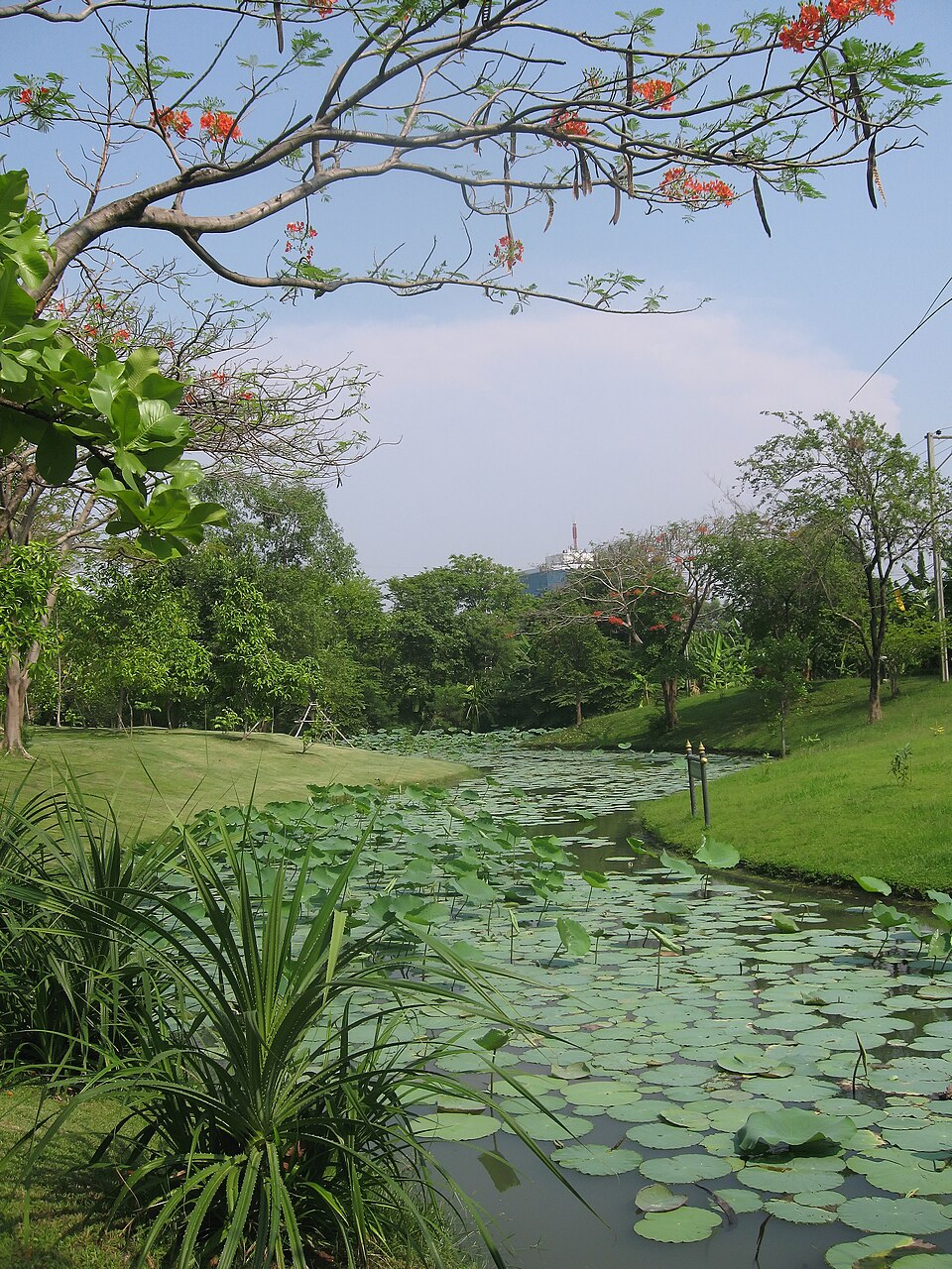 A photograph of Queen Sirikit Park