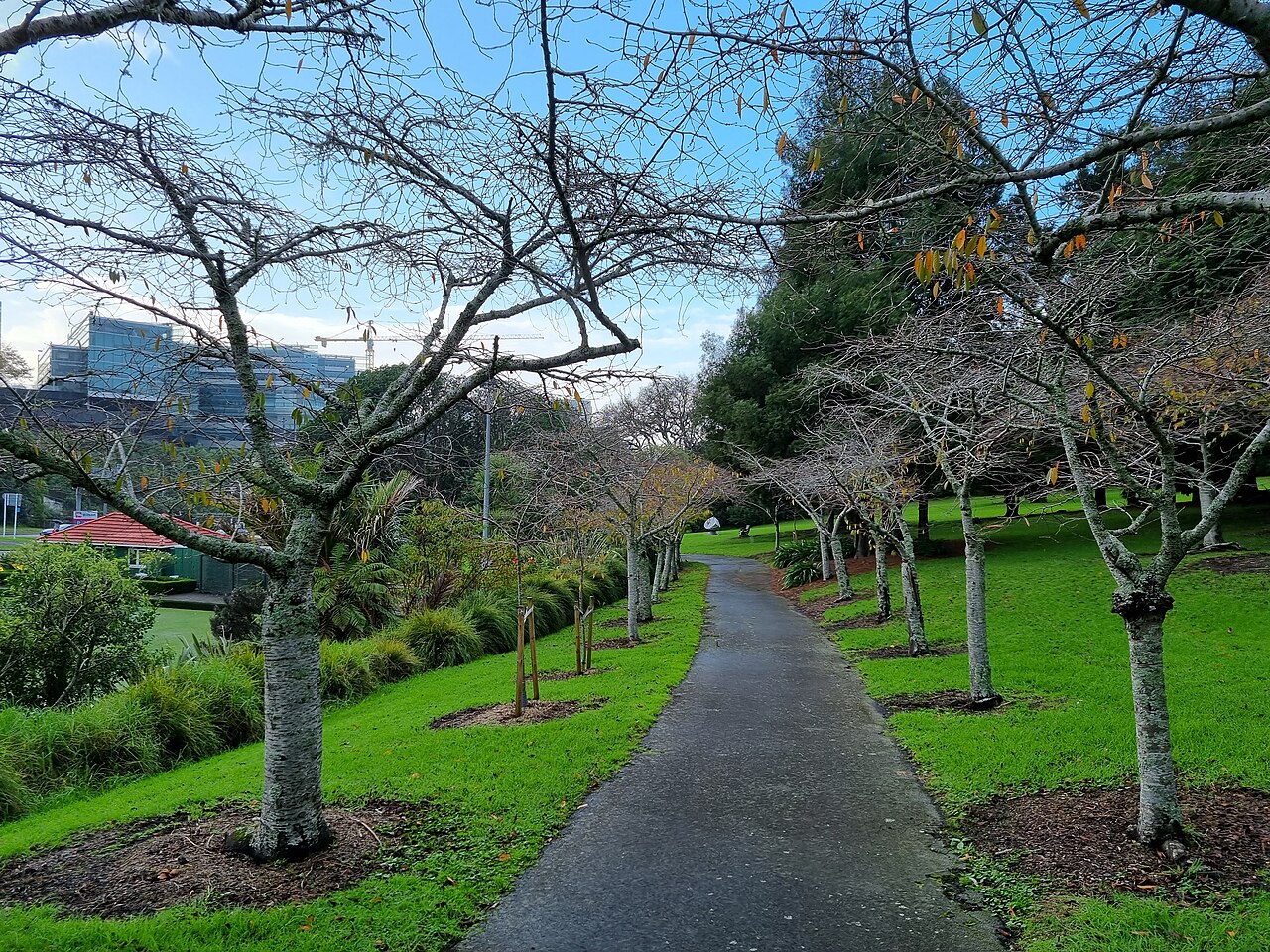 Pukekawa / Auckland Domain