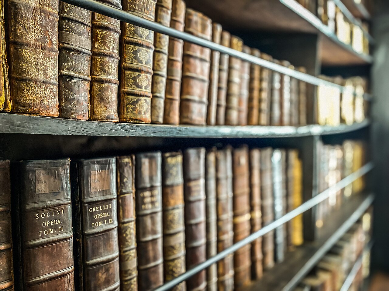 Marsh's Library fotoğrafı
