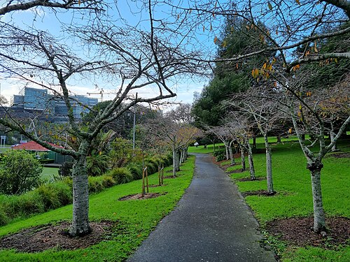 Auckland Domain
