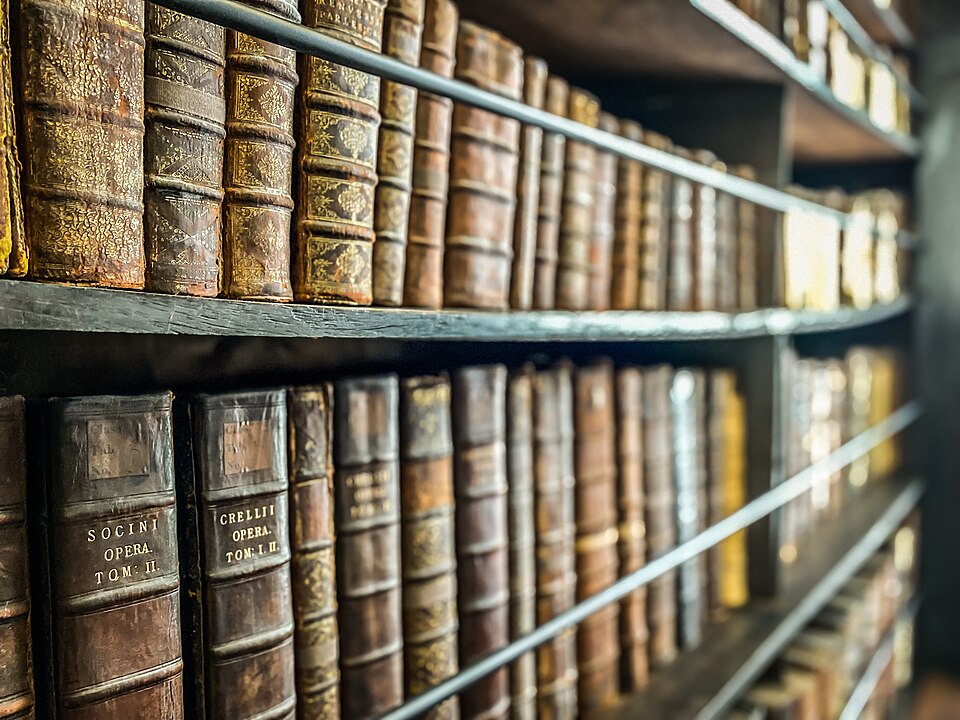 A photograph of Marsh's Library