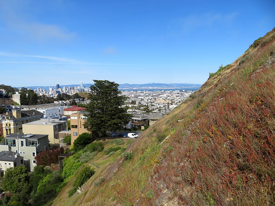 A photograph of Tank Hill