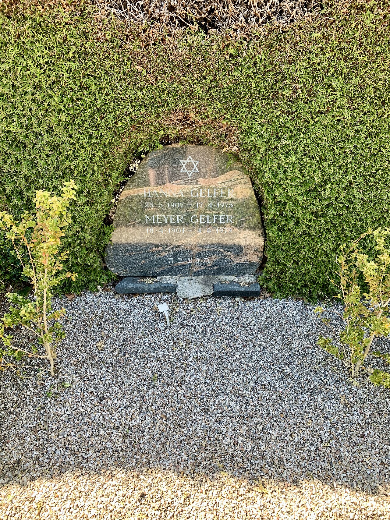 A photograph of Jewish Western Cemetery