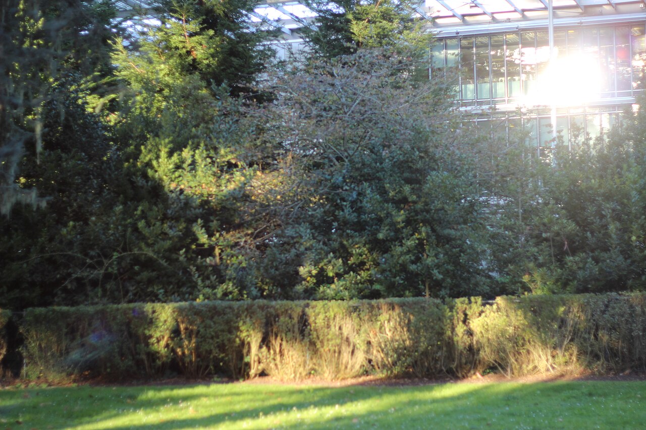 Shakespeare Garden의 사진