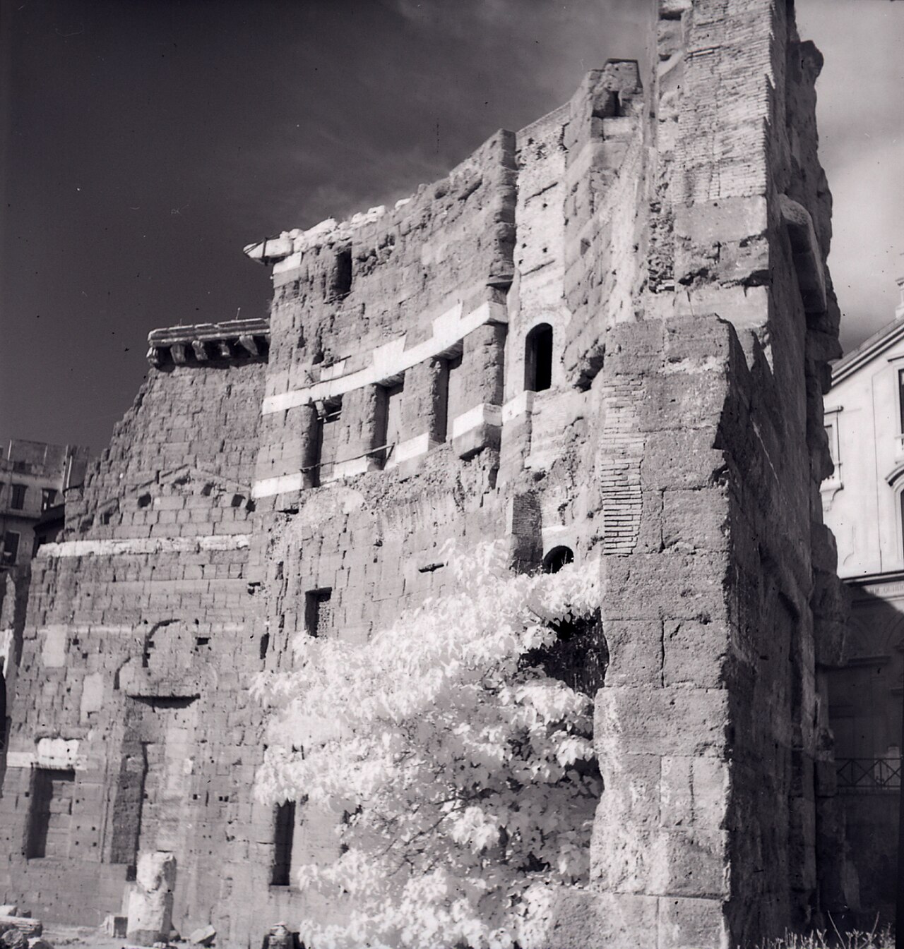 Augustus Forumu fotoğrafı
