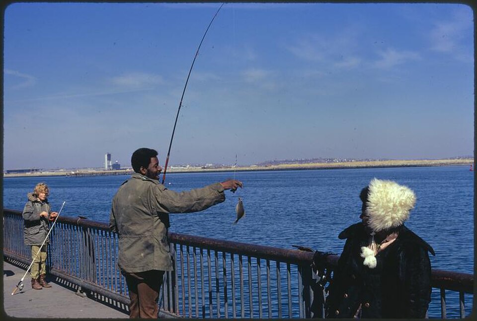 A photograph of Castle Island