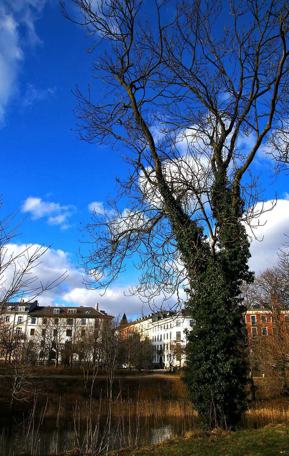 A photograph of Østre Anlæg