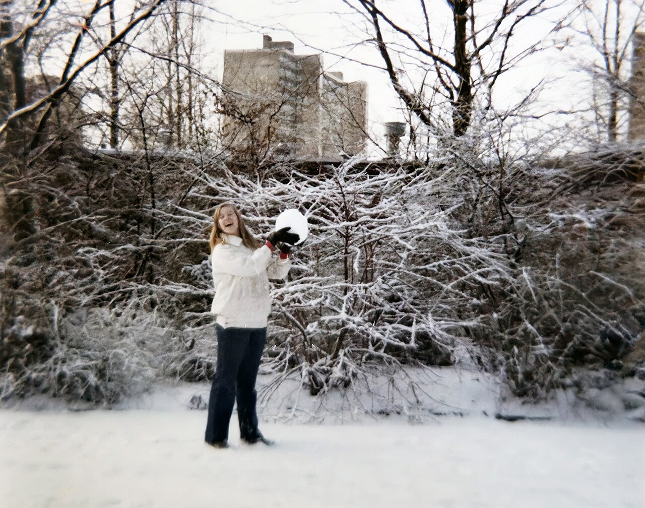 Amstelpark fotoğrafı