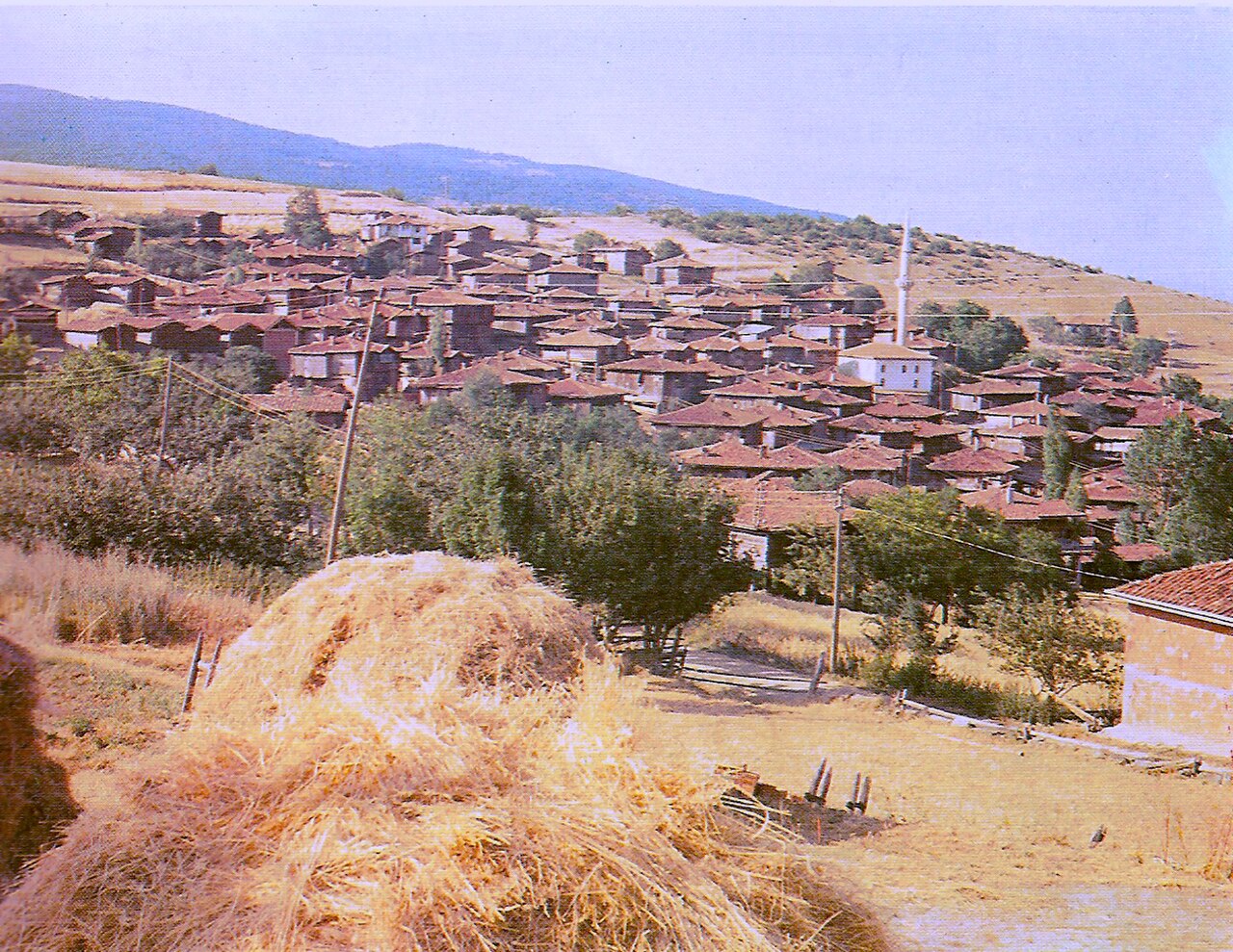 Gölet fotoğrafı