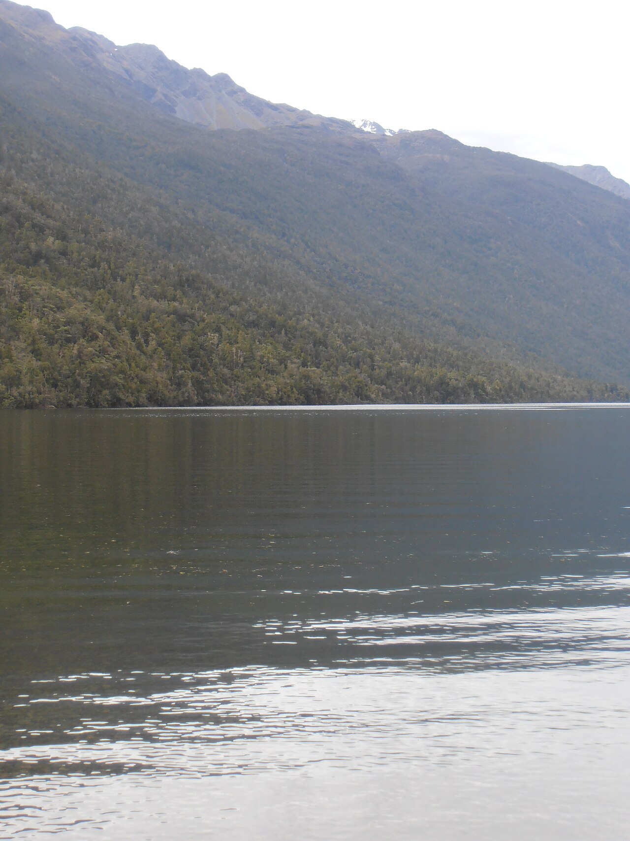 Una fotografia di Lake Alabaster/Wāwāhi Waka