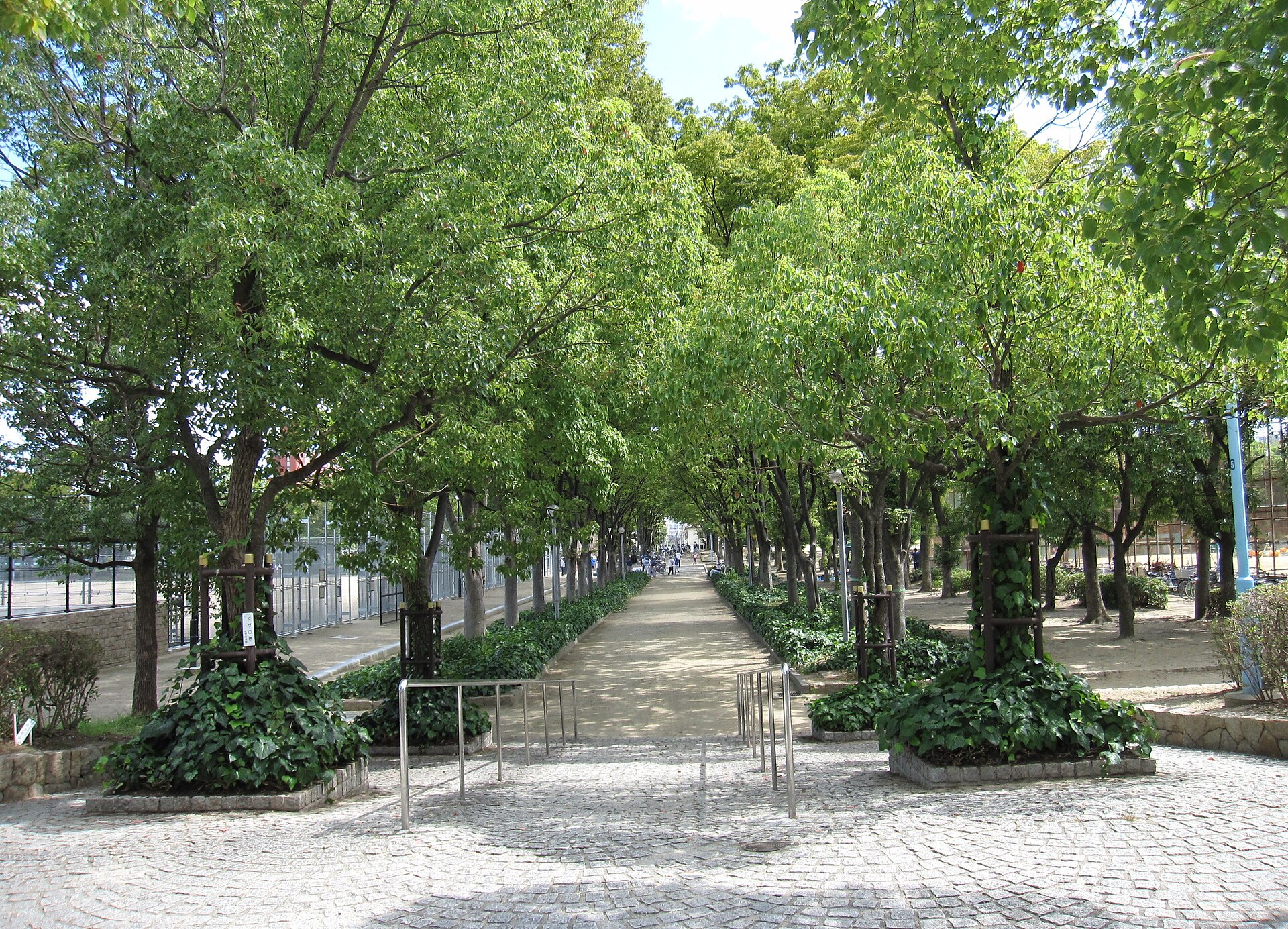 Izuo Park の写真
