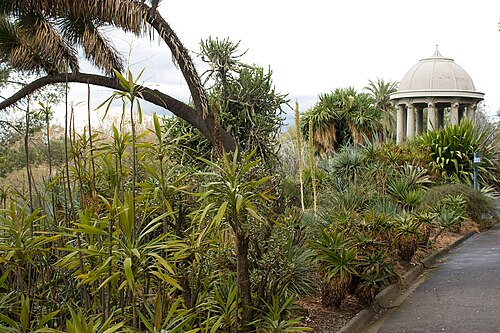 Royal Botanic Gardens