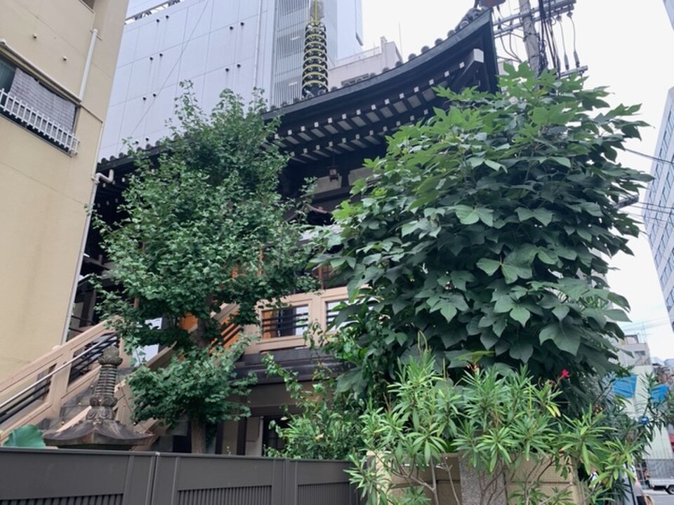 A photograph of 円頓寺