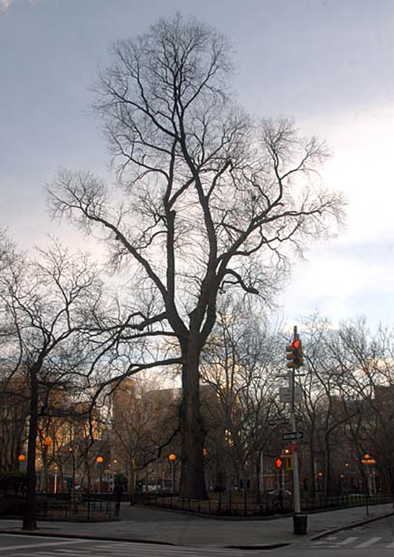 Washington Square Park의 사진