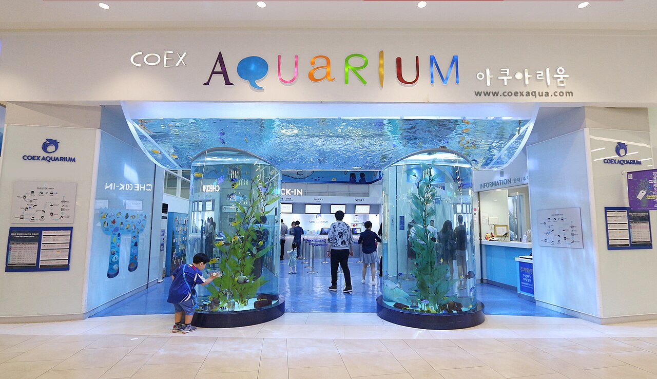 COEX Aquarium fotoğrafı