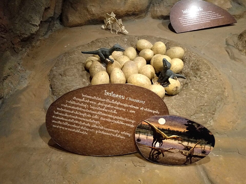 A photograph of Children's Discovery Museum