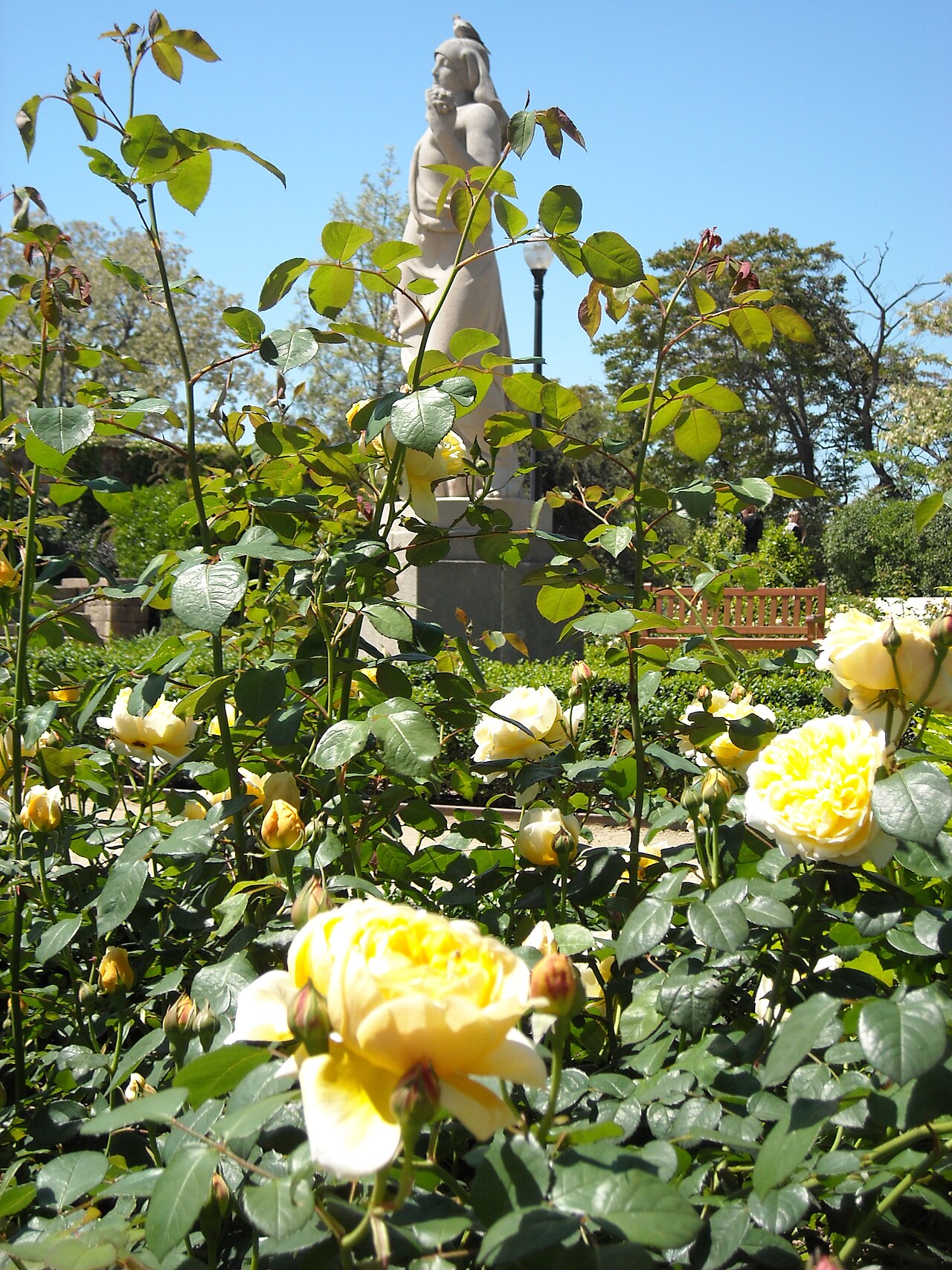A photograph of Jardín Miramar