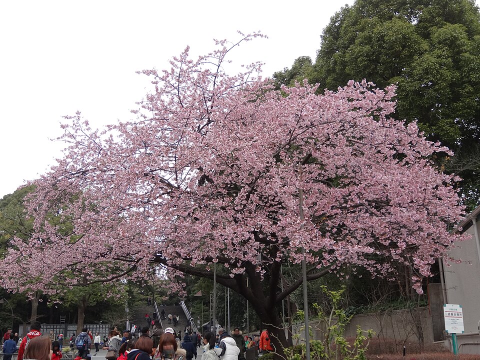 A photograph of 上野恩賜公園