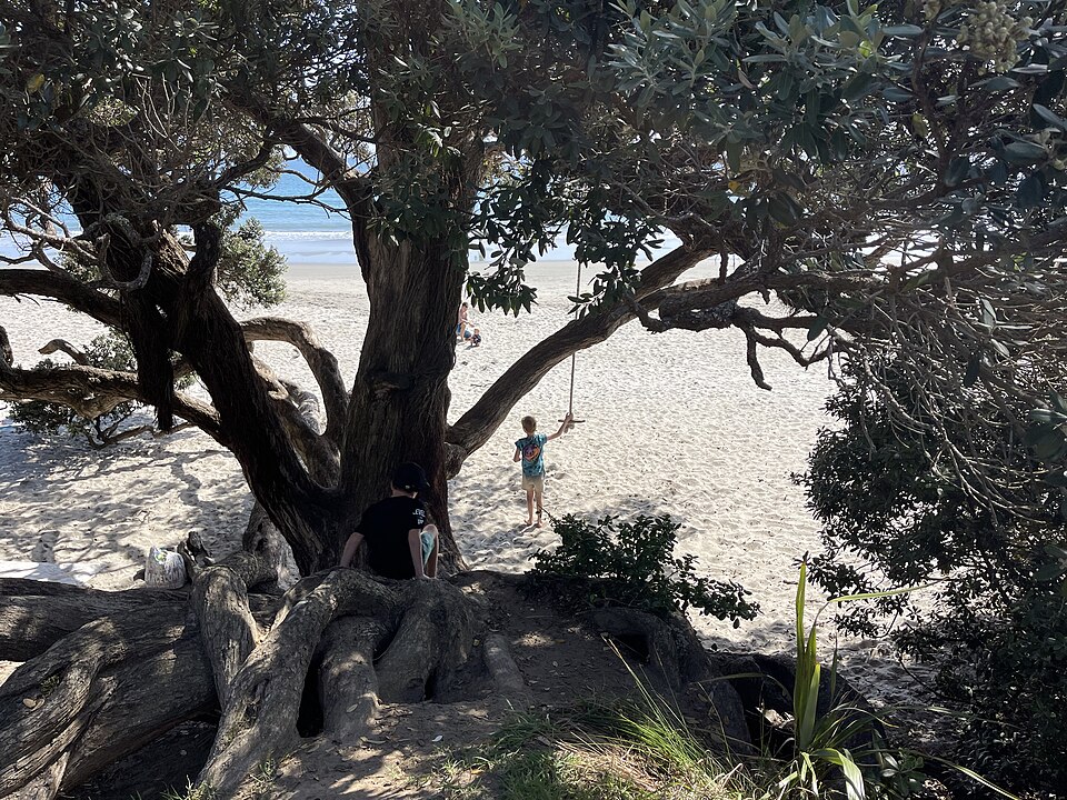 Onetangi Beach