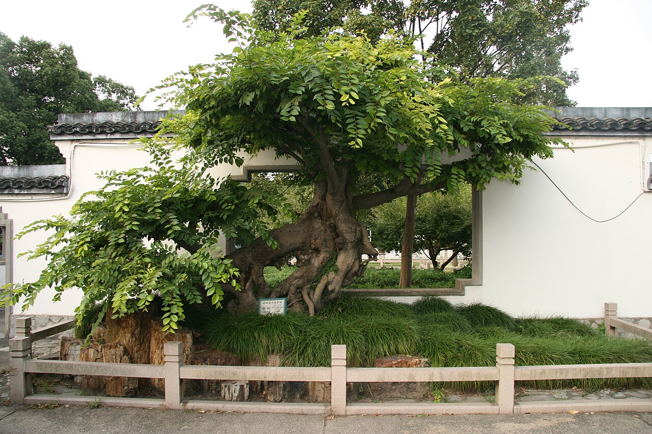 Shanghai Botanical Garden fotoğrafı