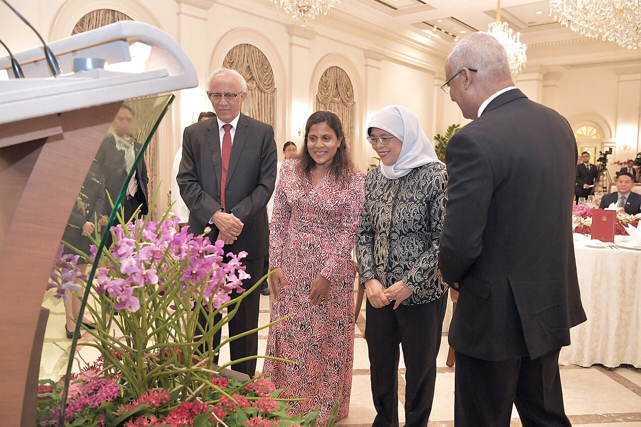 mohamed abdullah fotoğrafı