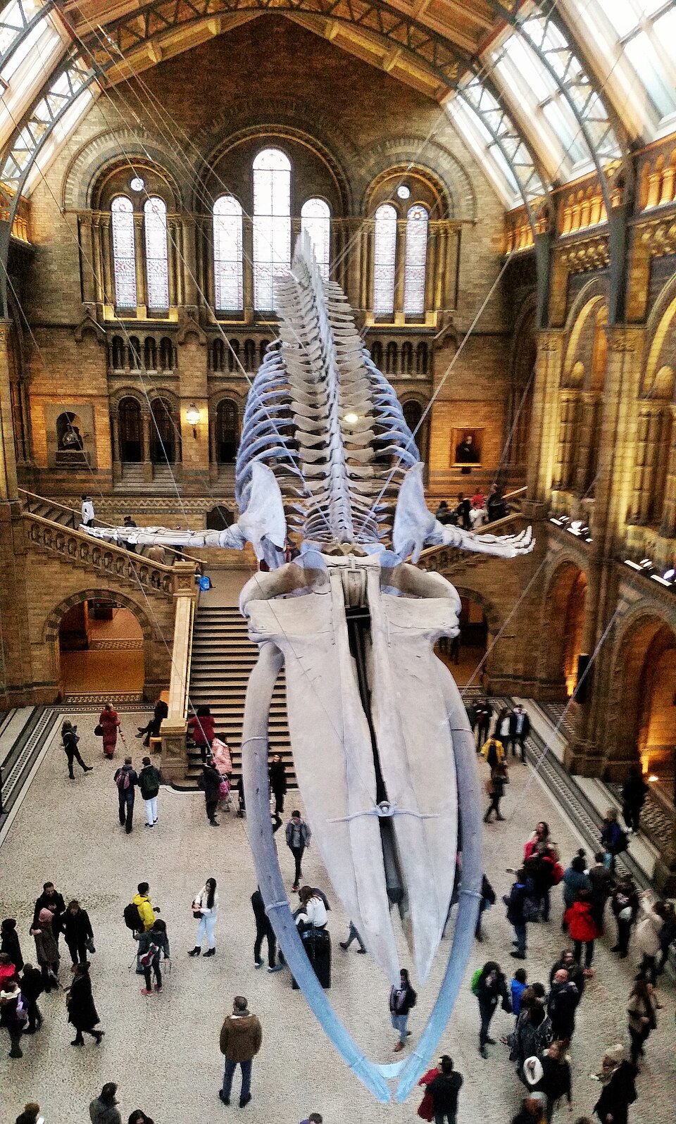A photograph of Natural History Museum