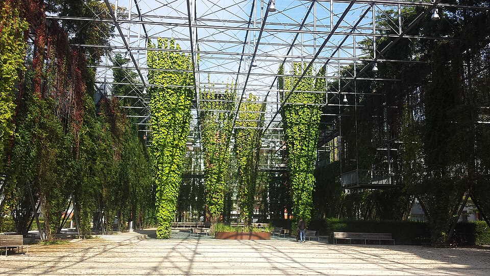 A photograph of MFO-Park