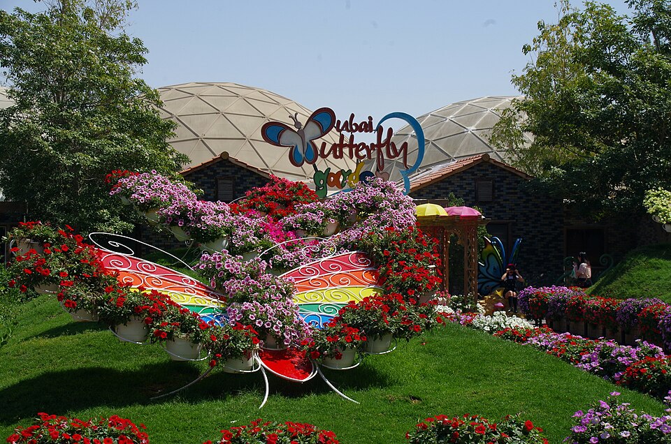 A photograph of Dubai Butterfly Garden